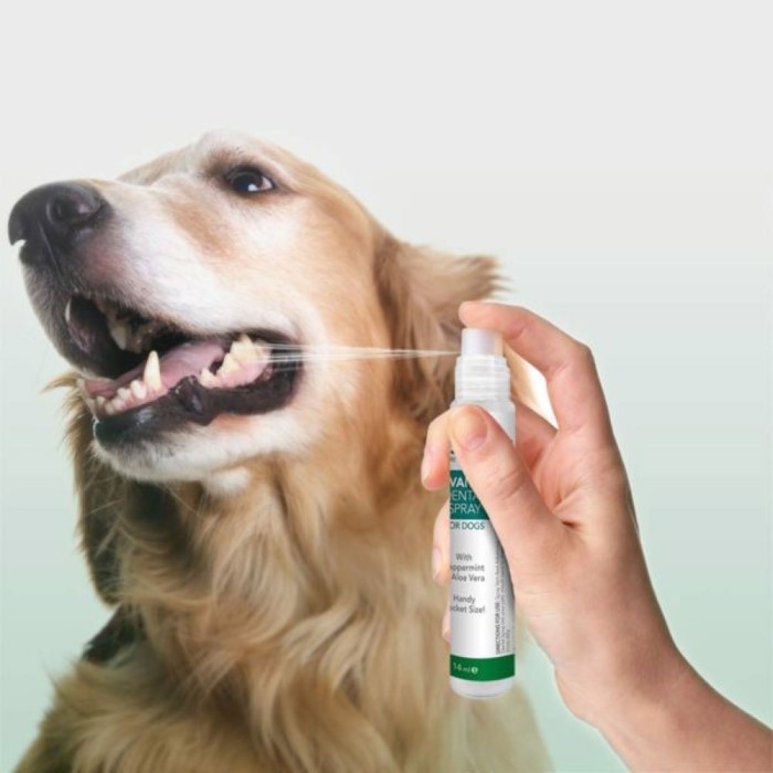 Vet's Best Advanced Dental Spray me Menta kai Aloi 14ml